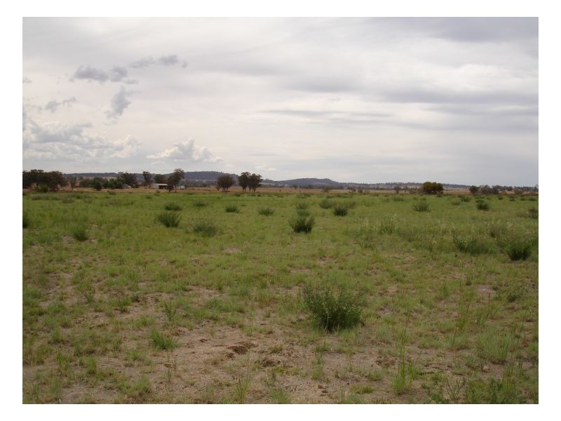 344 Top Somerton Road, Attunga NSW 2345