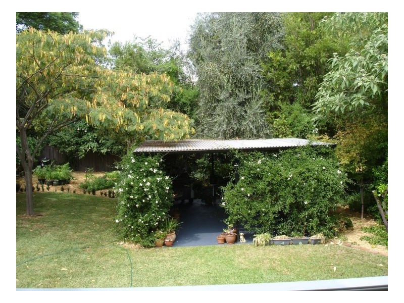 91 White Street, Tamworth NSW 2340