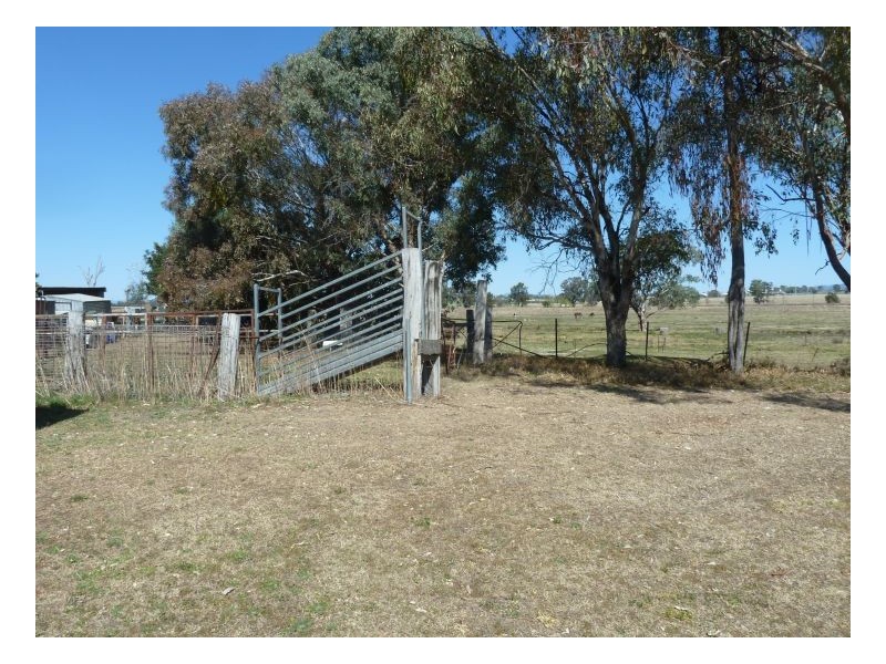 Tamworth NSW 2340