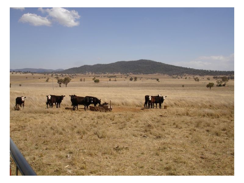 532 Babinboon Rd, Somerton, Tamworth NSW 2340