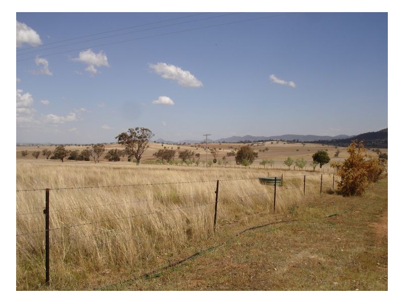532 Babinboon Rd, Somerton, Gunnedah NSW 2380
