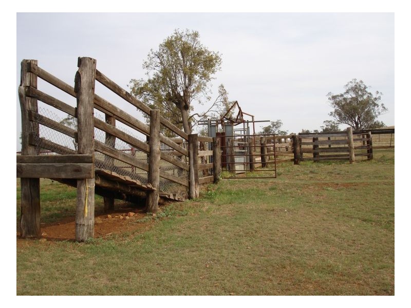 532 Babinboon Rd, Somerton, Gunnedah NSW 2380