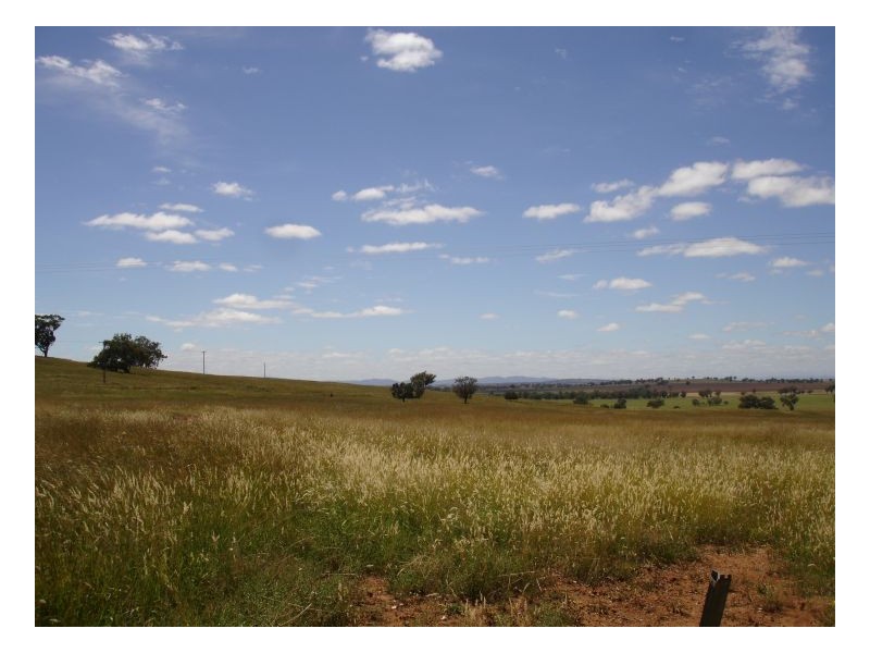 532 Babinboon Rd, Somerton, Gunnedah NSW 2380