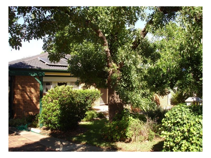 99 Manilla Road, Tamworth NSW 2340