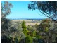 14 Mornington Crescent, Tamworth NSW 2340