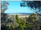 14 Mornington Crescent, Tamworth NSW 2340