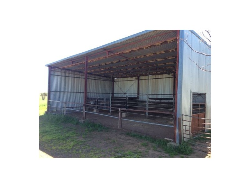 341 Oxley Lane, Tamworth NSW 2340