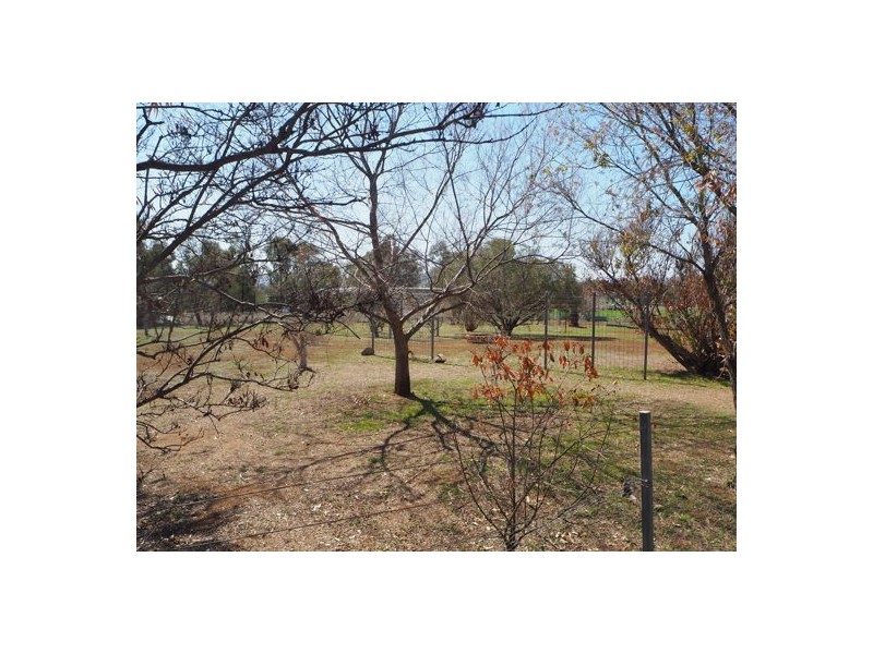 468 Wallamore Road, Tamworth NSW 2340