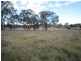1014 Boorolong Road, Armidale NSW 2350