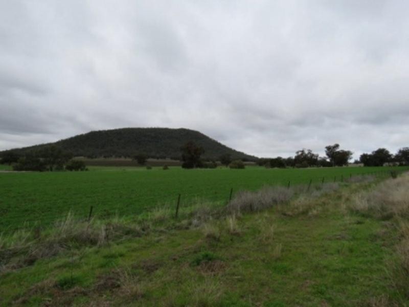 1013 Barnbrook Road, Werris Creek NSW 2341