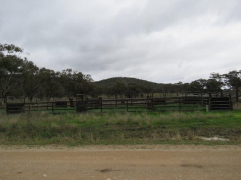 1013 Barnbrook Road, Werris Creek NSW 2341