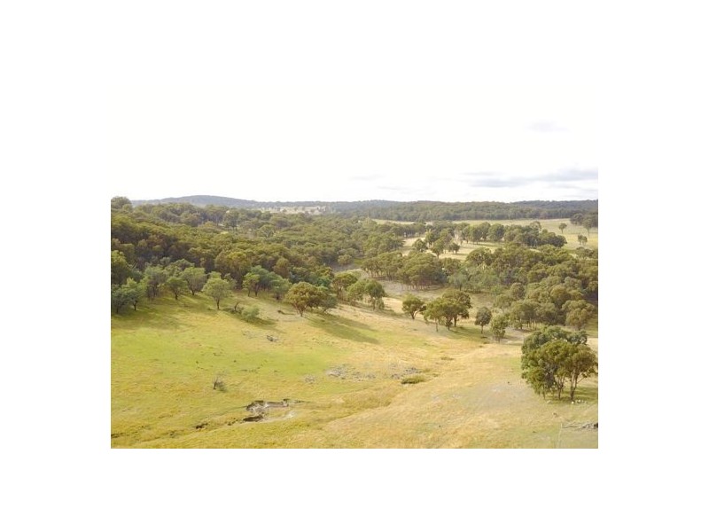 294 Reedy Creek Road, Guyra NSW 2365