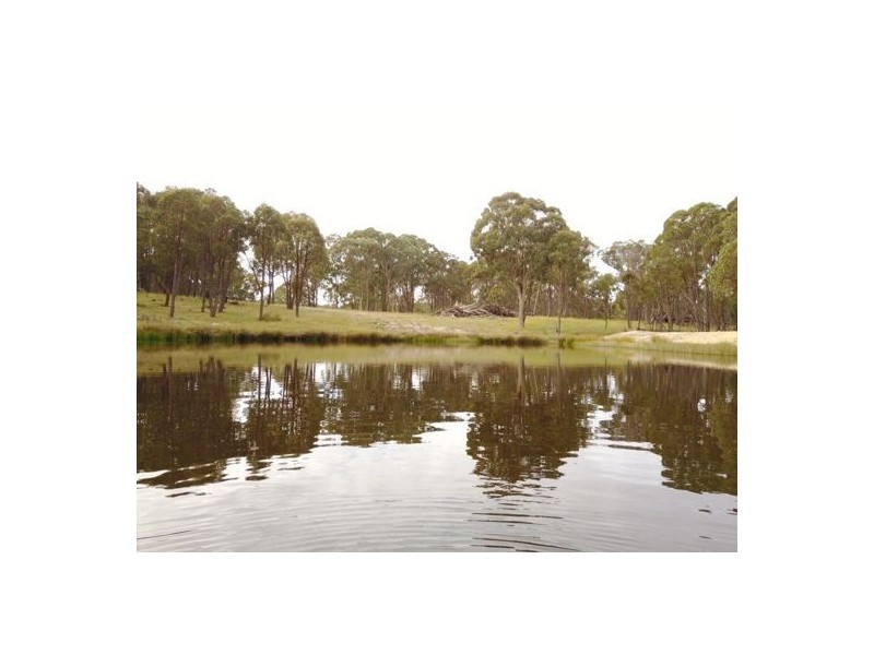 294 Reedy Creek Road, Guyra NSW 2365