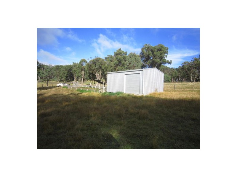 294 Reedy Creek Road, Guyra NSW 2365