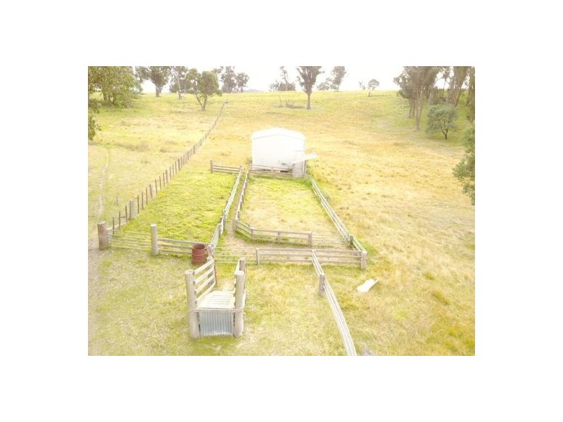 294 Reedy Creek Road, Guyra NSW 2365