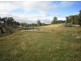 294 Reedy Creek Road, Guyra NSW 2365