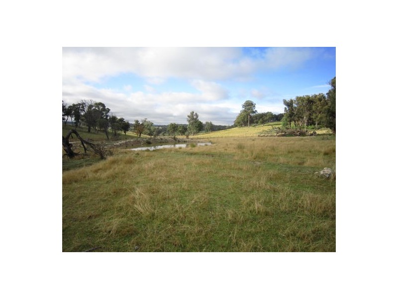 294 Reedy Creek Road, Guyra NSW 2365