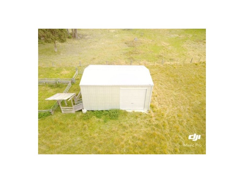 294 Reedy Creek Road, Guyra NSW 2365