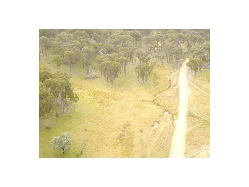 294 Reedy Creek Road, Guyra NSW 2365