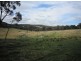 294 Reedy Creek Road, Guyra NSW 2365