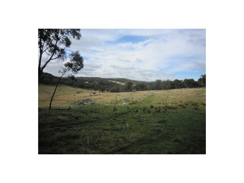 294 Reedy Creek Road, Guyra NSW 2365