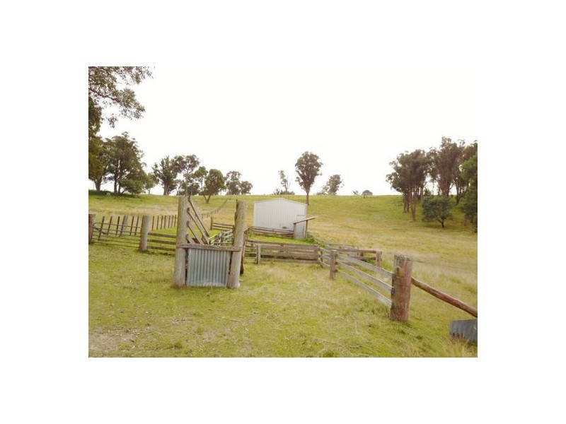 294 Reedy Creek Road, Guyra NSW 2365