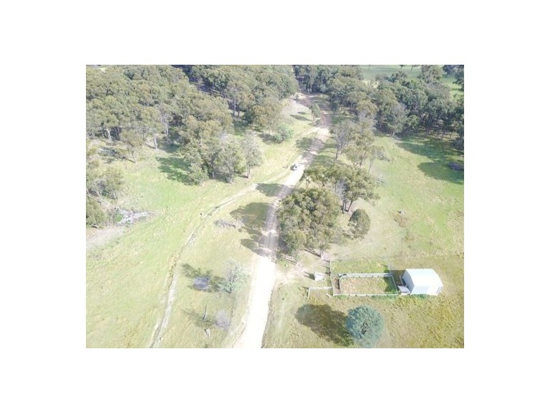 294 Reedy Creek Road, Guyra NSW 2365