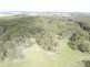 294 Reedy Creek Road, Guyra NSW 2365