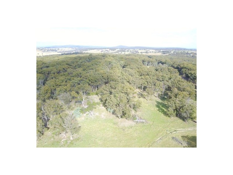 294 Reedy Creek Road, Guyra NSW 2365