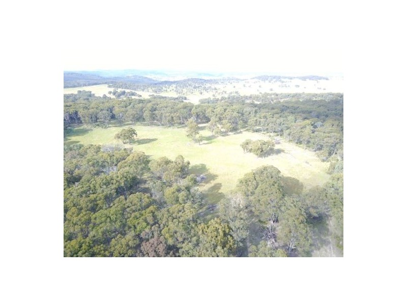 294 Reedy Creek Road, Guyra NSW 2365