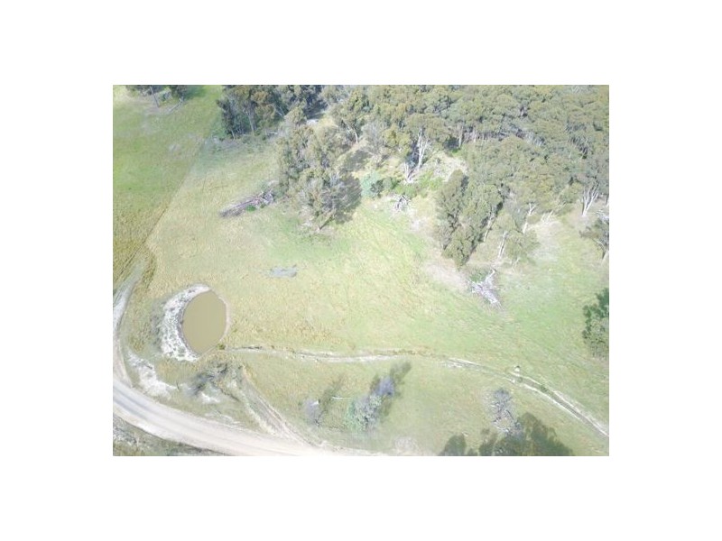 294 Reedy Creek Road, Guyra NSW 2365