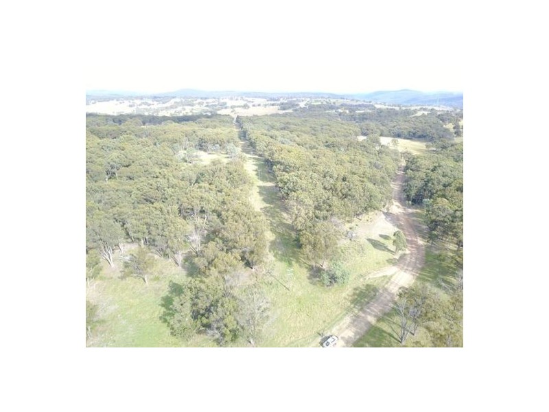 294 Reedy Creek Road, Guyra NSW 2365