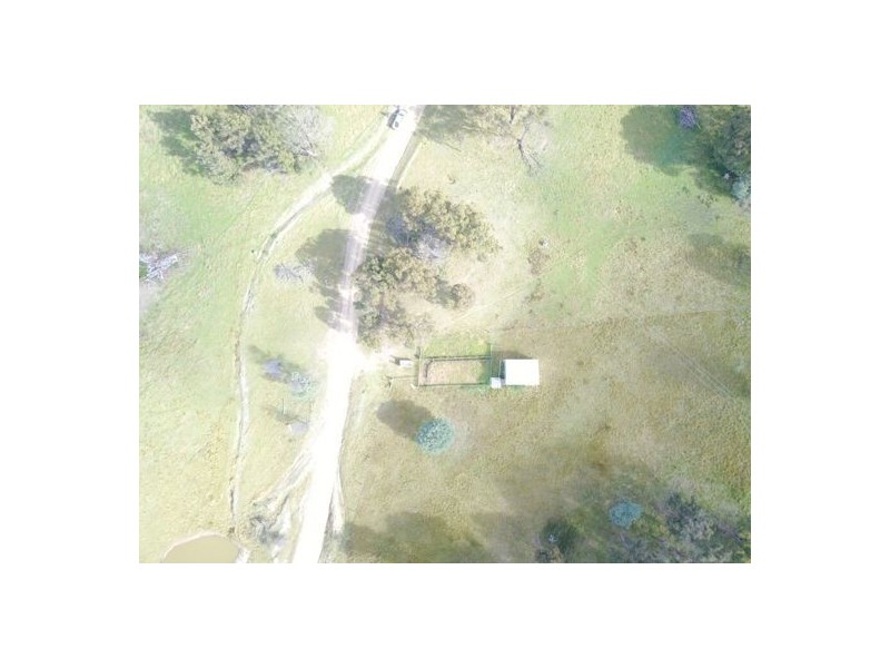 294 Reedy Creek Road, Guyra NSW 2365