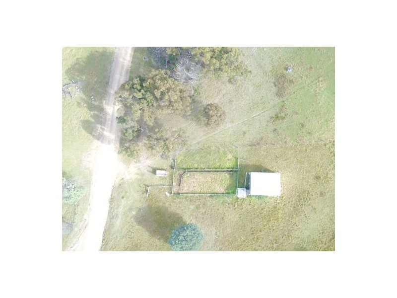 294 Reedy Creek Road, Guyra NSW 2365