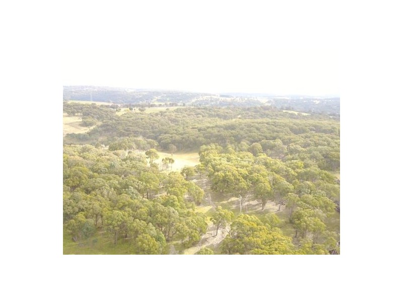 294 Reedy Creek Road, Guyra NSW 2365