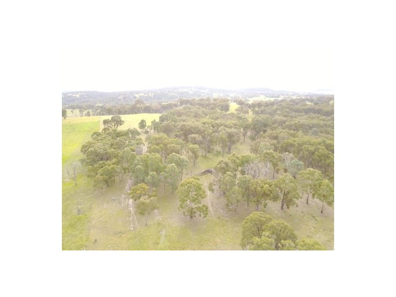 294 Reedy Creek Road, Guyra NSW 2365