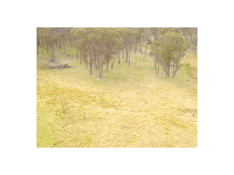 294 Reedy Creek Road, Guyra NSW 2365