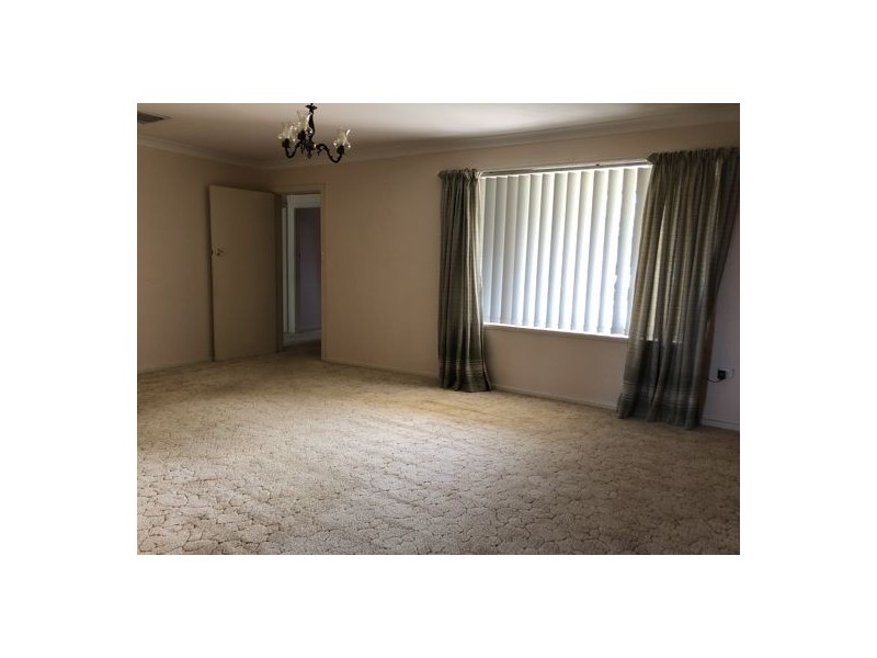 43 Edward Street, Tamworth NSW 2340