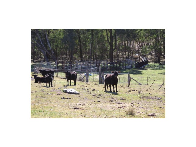 ‘Mandalay’ 2452 Limbri-Weabonga Road, Weabonga NSW 2340