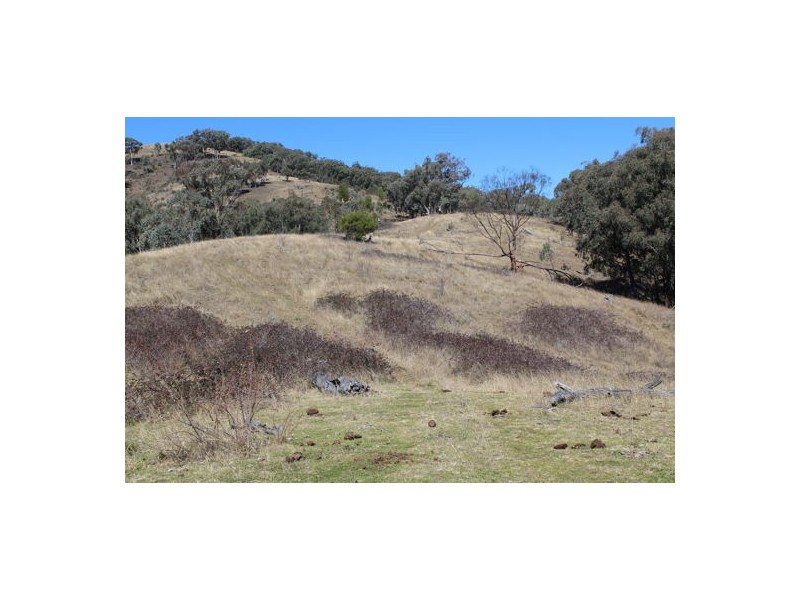 ‘Mandalay’ 2452 Limbri-Weabonga Road, Weabonga NSW 2340