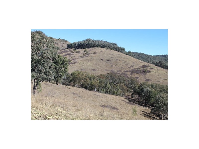 ‘Mandalay’ 2452 Limbri-Weabonga Road, Weabonga NSW 2340