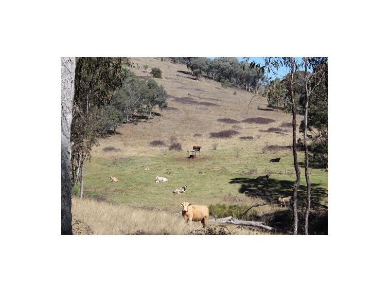 ‘Mandalay’ 2452 Limbri-Weabonga Road, Weabonga NSW 2340