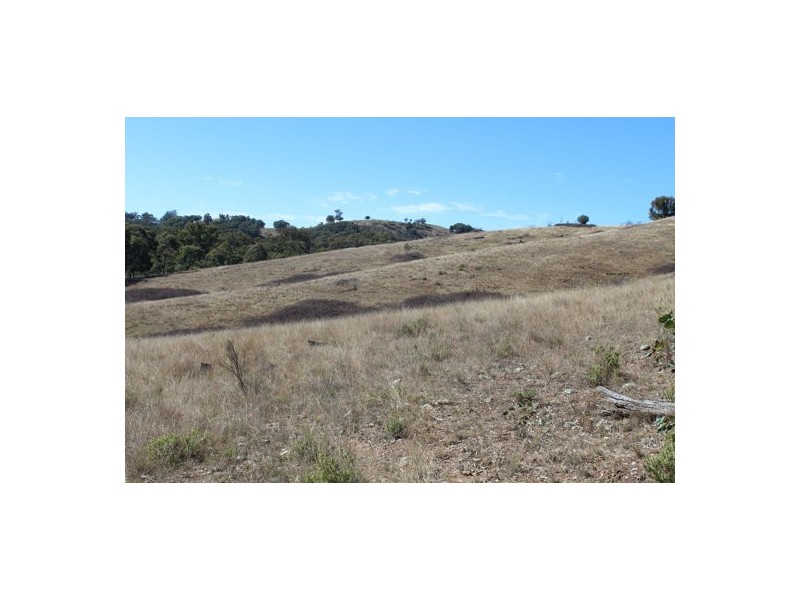 ‘Mandalay’ 2452 Limbri-Weabonga Road, Weabonga NSW 2340