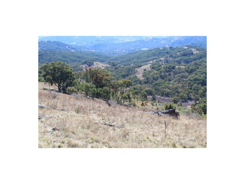 ‘Mandalay’ 2452 Limbri-Weabonga Road, Weabonga NSW 2340