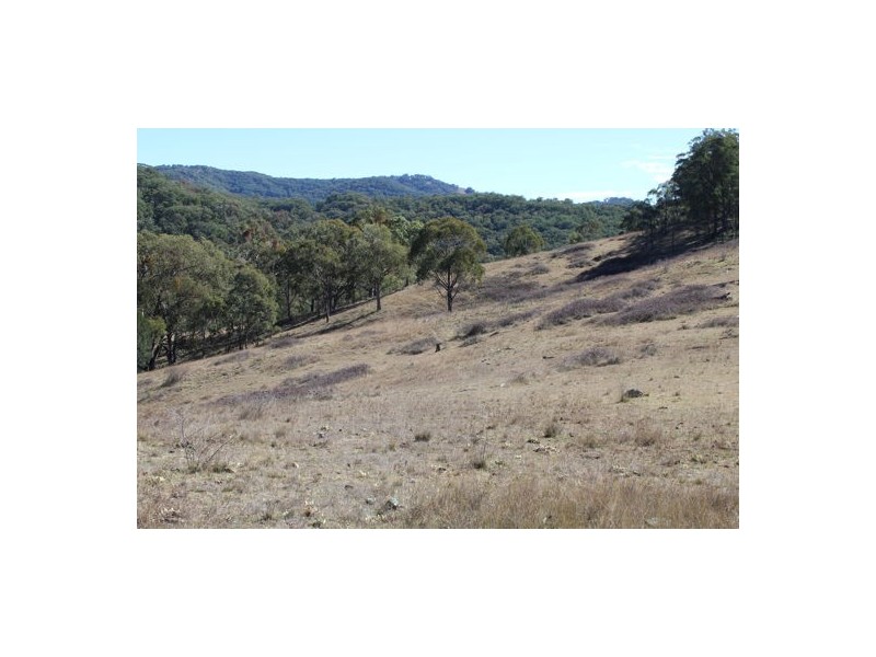 ‘Mandalay’ 2452 Limbri-Weabonga Road, Weabonga NSW 2340