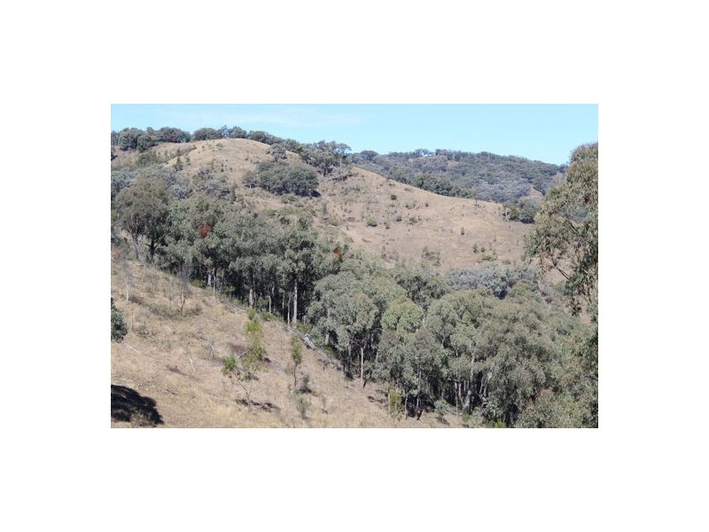 ‘Mandalay’ 2452 Limbri-Weabonga Road, Weabonga NSW 2340