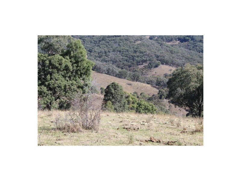 ‘Mandalay’ 2452 Limbri-Weabonga Road, Weabonga NSW 2340