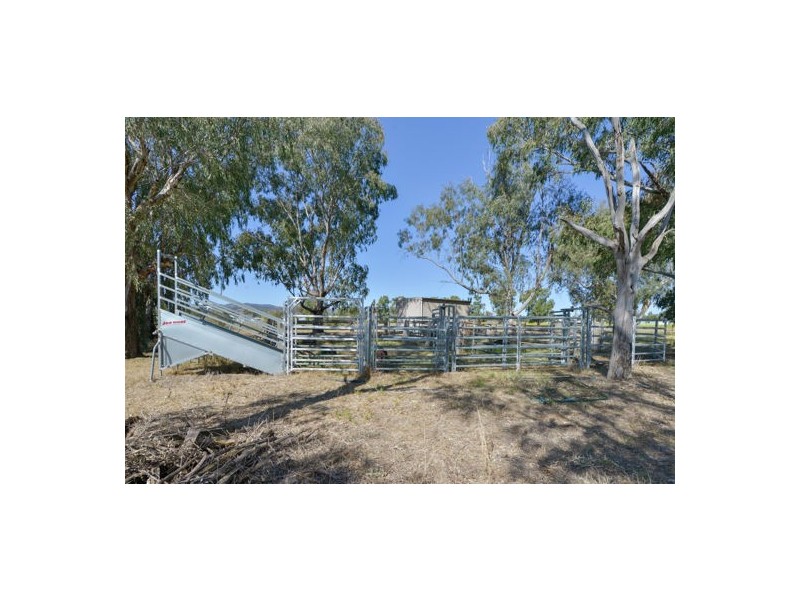 ‘Riverwood’ 560 Wallamore Road, Tamworth NSW 2340