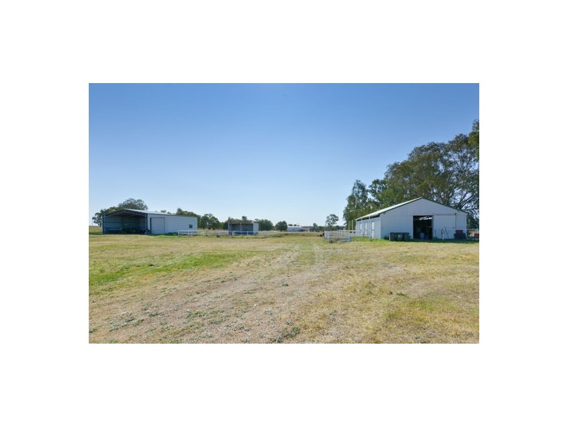 ‘Riverwood’ 560 Wallamore Road, Tamworth NSW 2340