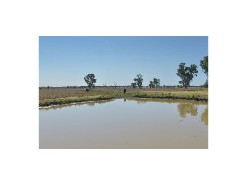 ‘Riverwood’ 560 Wallamore Road, Tamworth NSW 2340